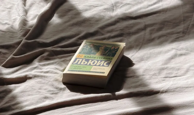 Same Book, Whole New Story: The Magic of Going Back to the Ones You Already Love